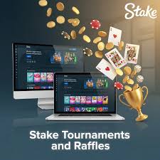 Stake Cricket ID