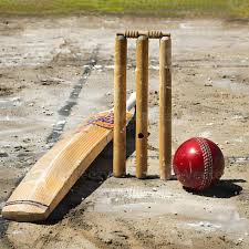online cricket id